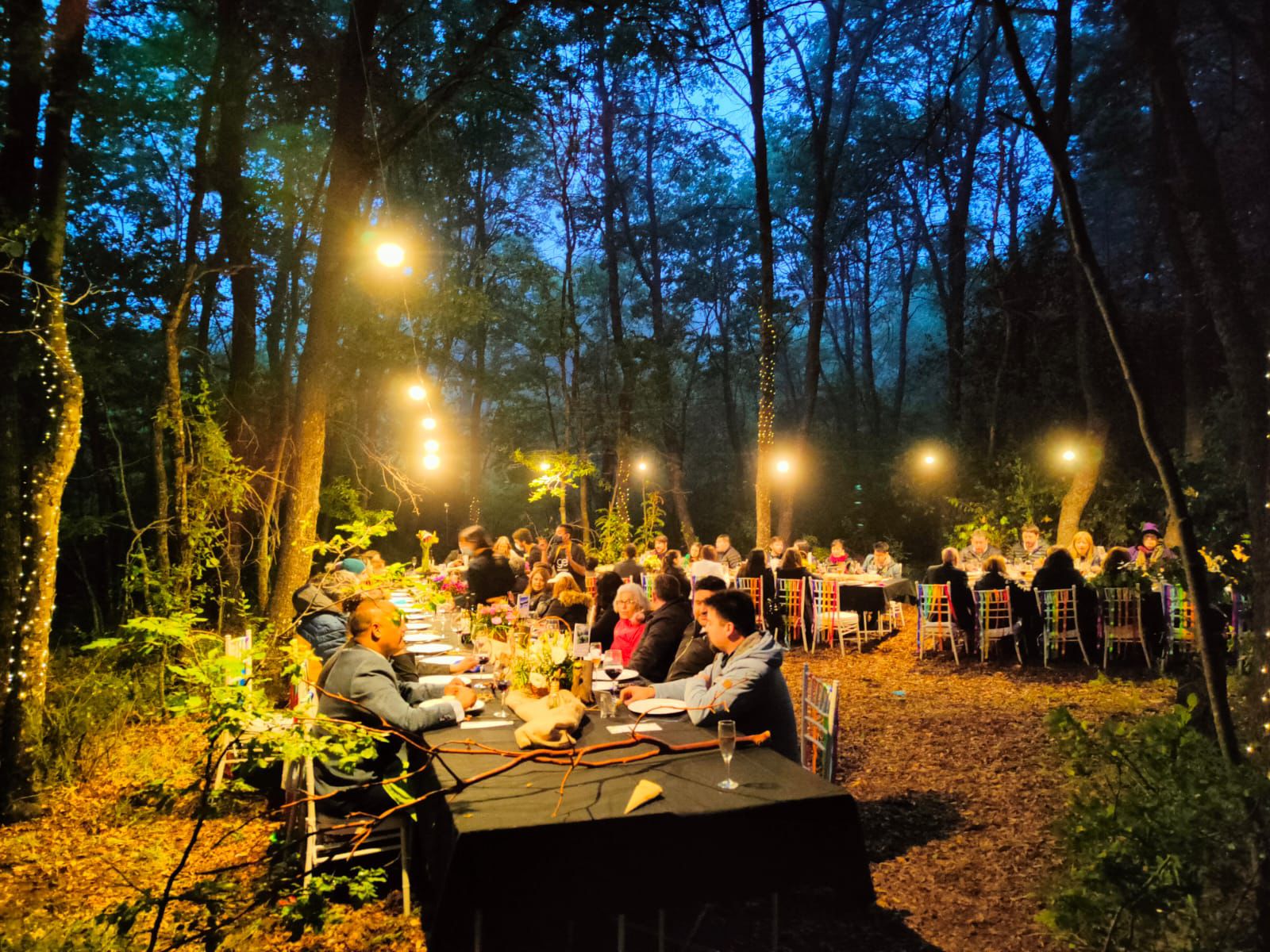Cena en el bosque